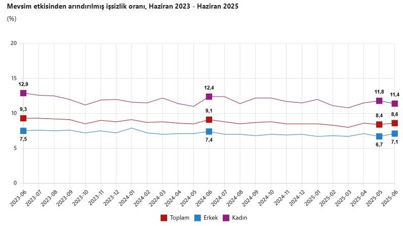 TÜİK, Haziran 2025 dönemine