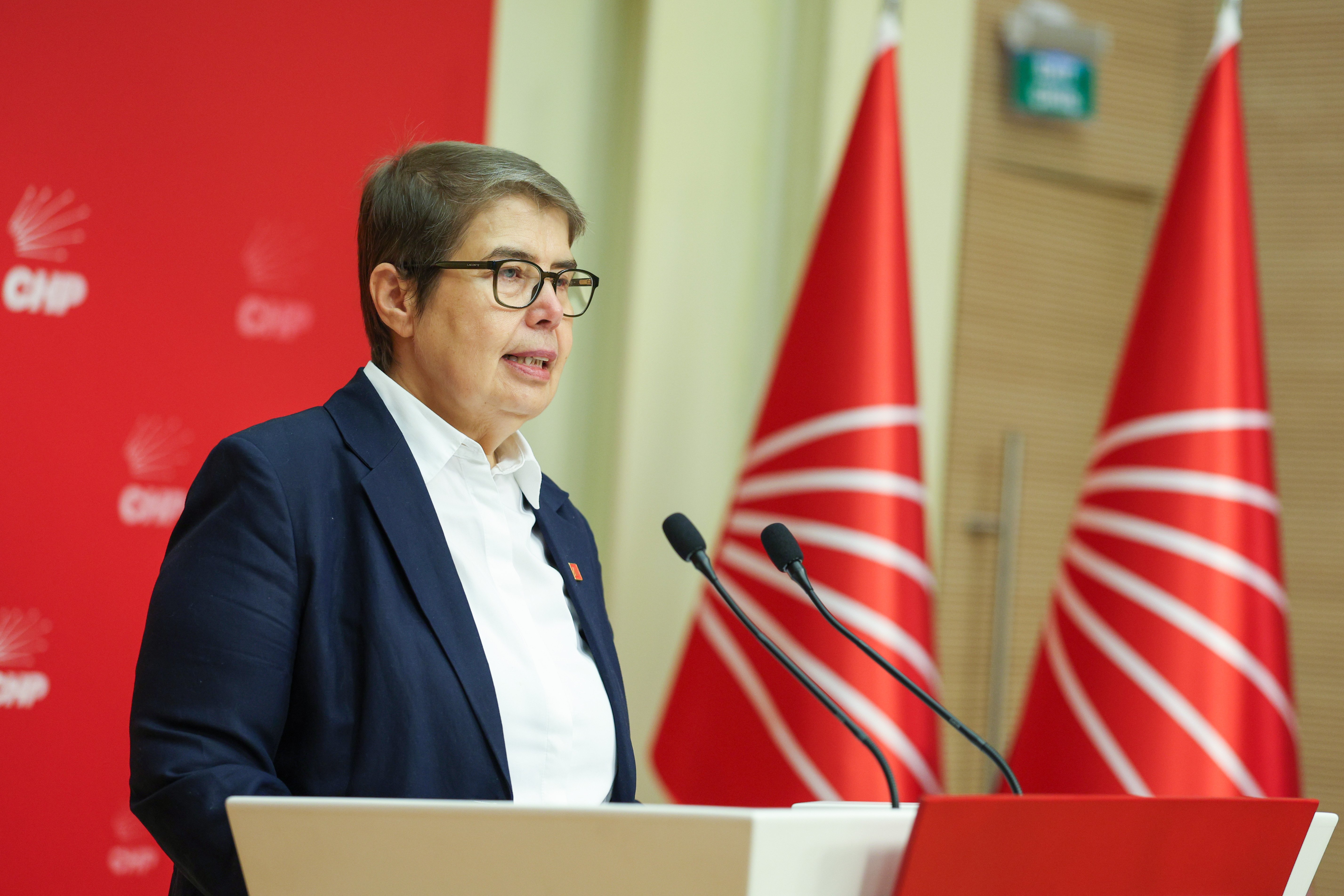 CHP Genel Başkan Yardımcısı