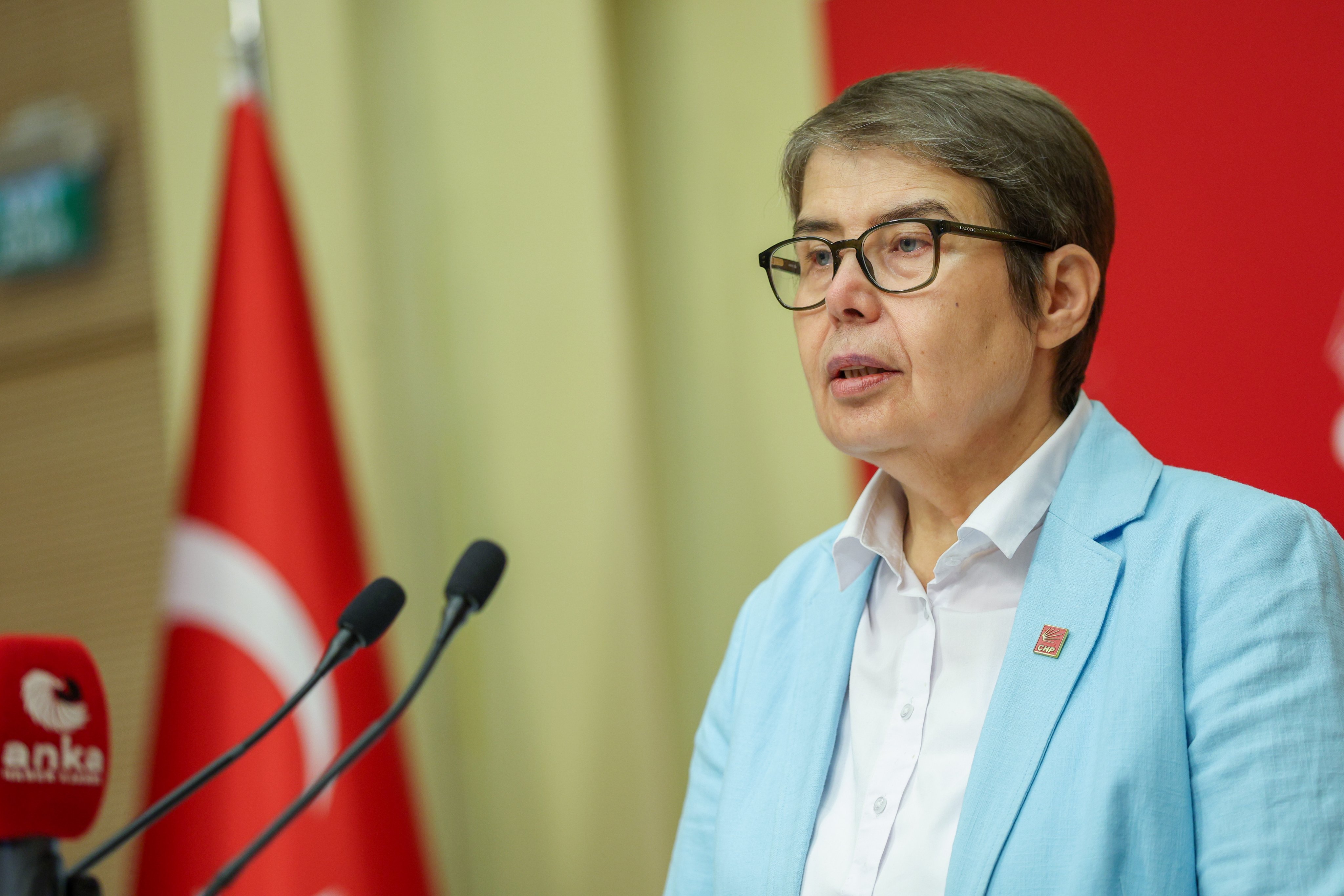 CHP Genel Başkan Yardımcısı