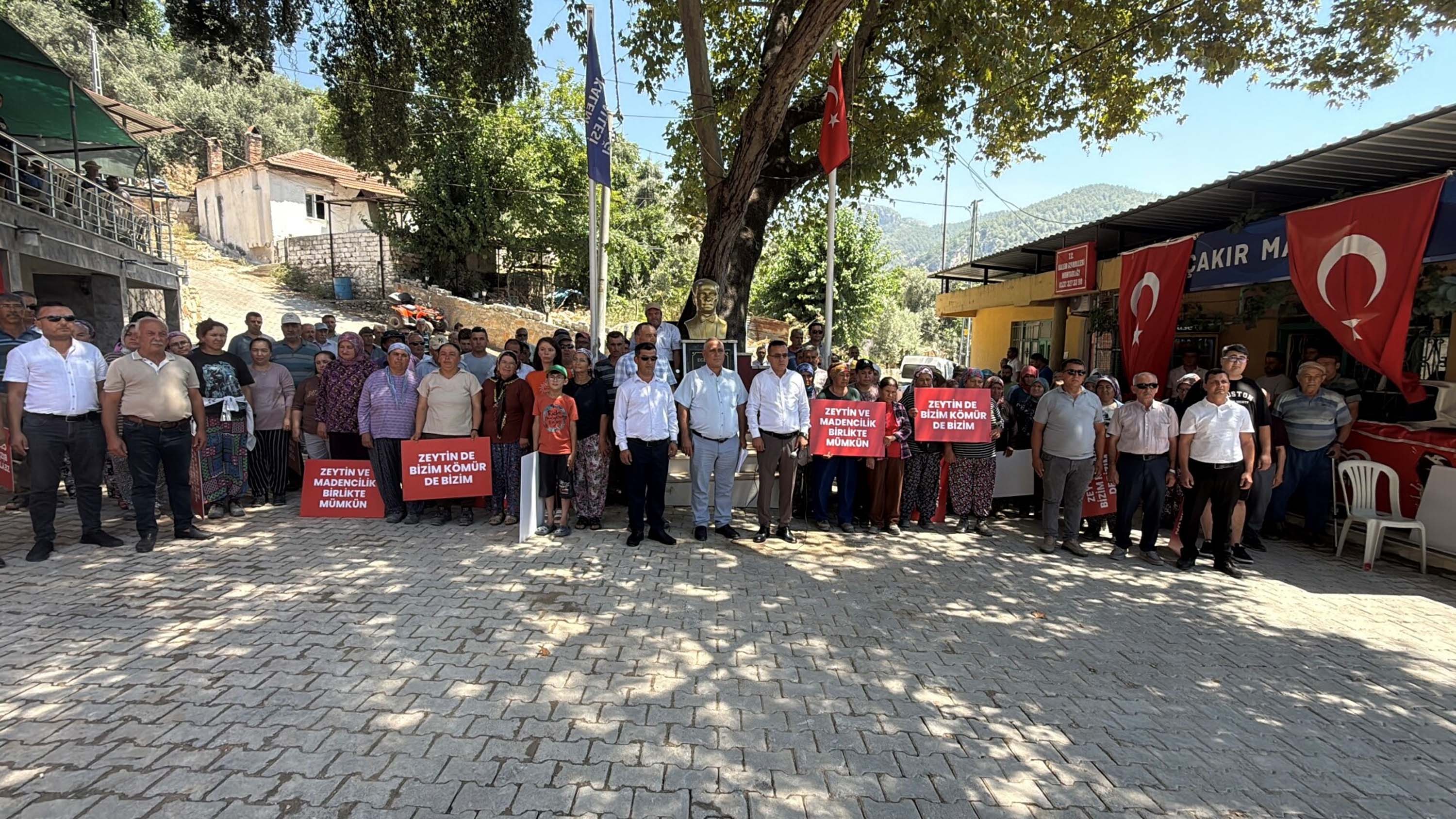 Milas'ta bölge halkı 'Zeytin