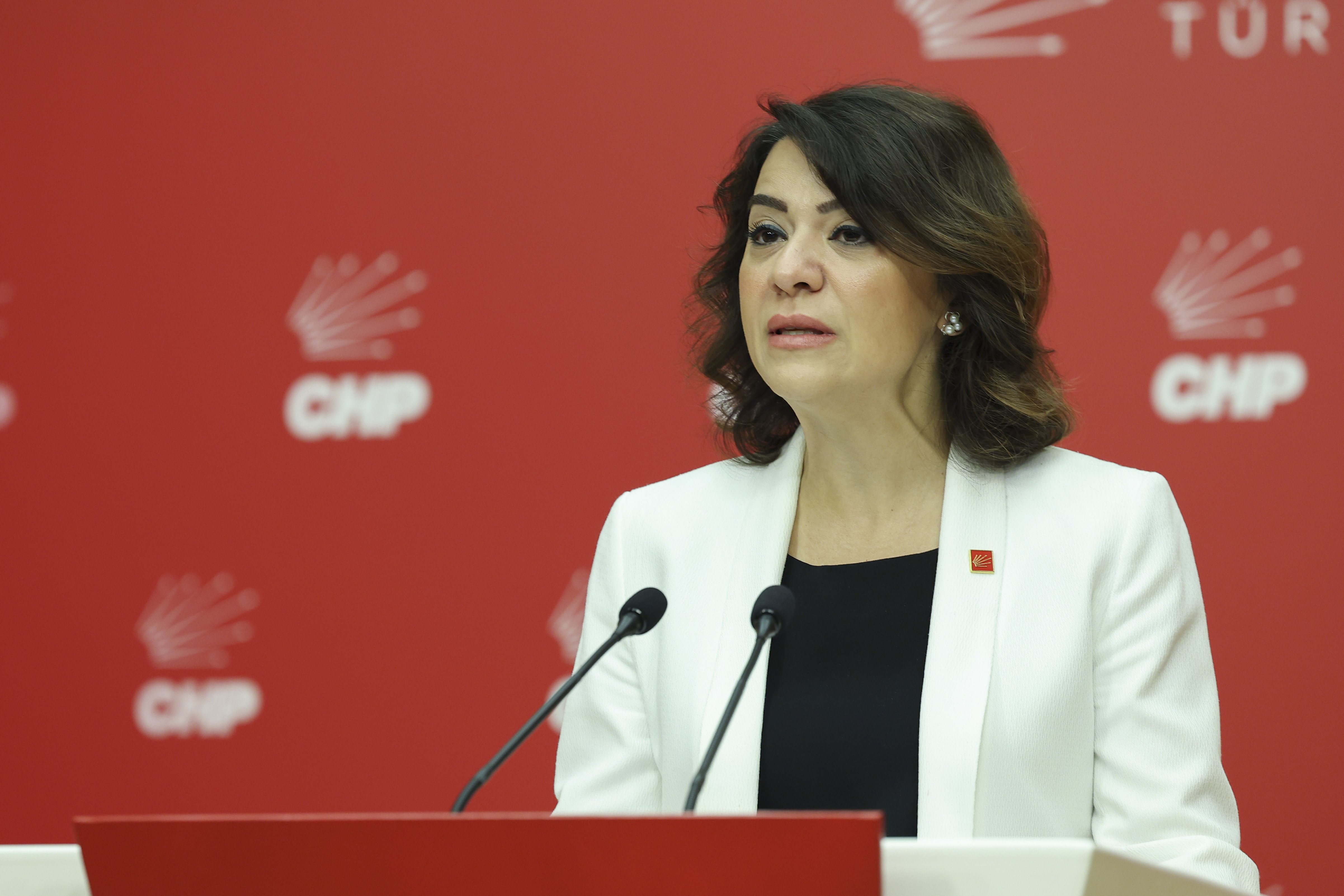 CHP Genel Başkan Yardımcısı