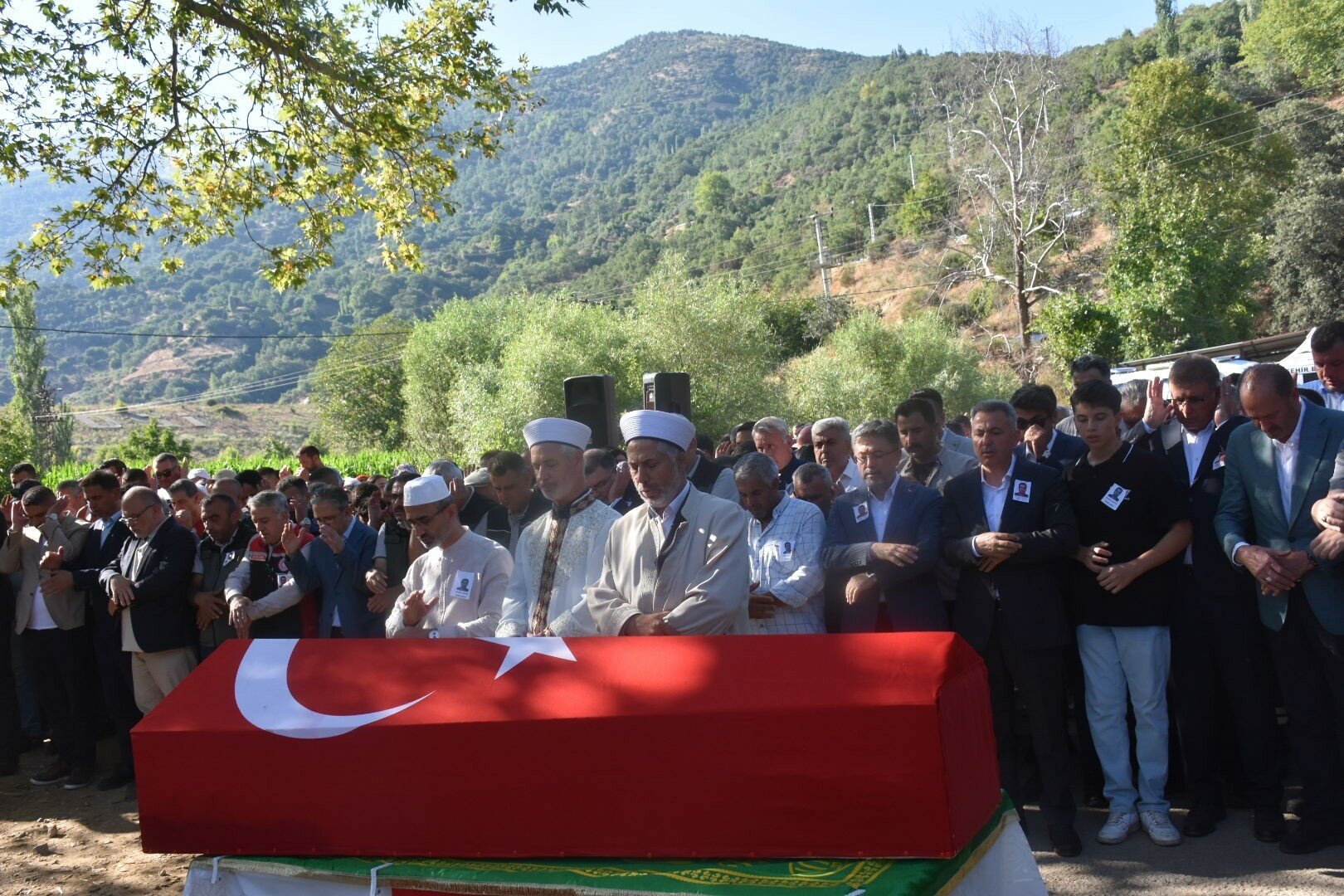 İzmir'in Ödemiş ilçesindeki orman