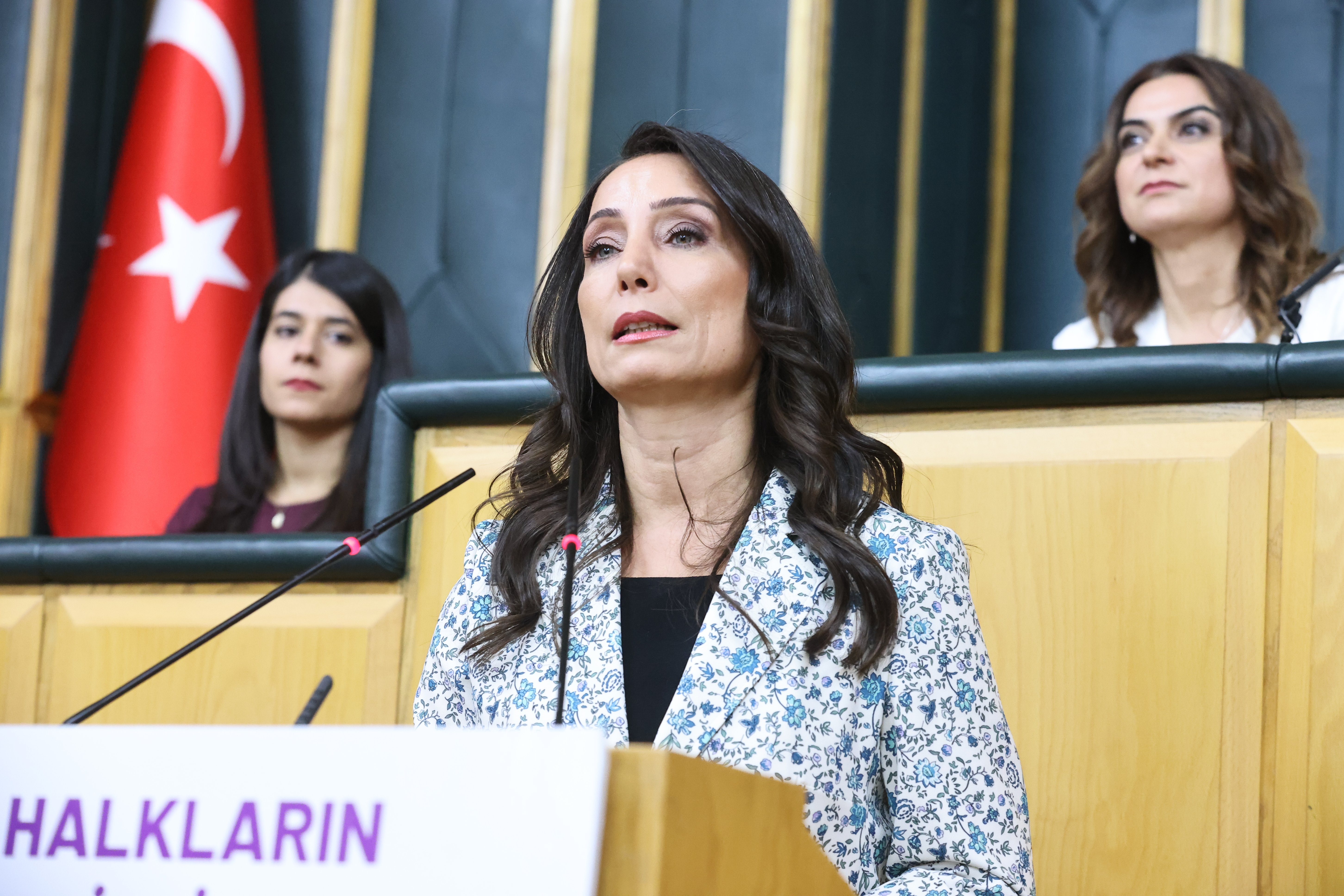 DEM Parti Eş Genel