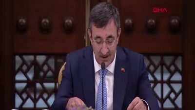 Cevdet Yılmaz, Nüfus Politikaları Kurulu