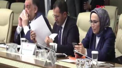 TBMM Dışişleri Komisyonu Başkanı Fuat