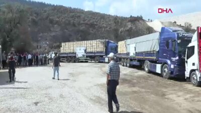 İzmir Valisi Elban: Yangında Kaybedilen Hayvanların Tamamını Yeniledik, Önümüzdeki Hafta Sahiplerine Teslim Edilecek