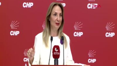 CHP Genel Başkan Yardımcısı Aylin