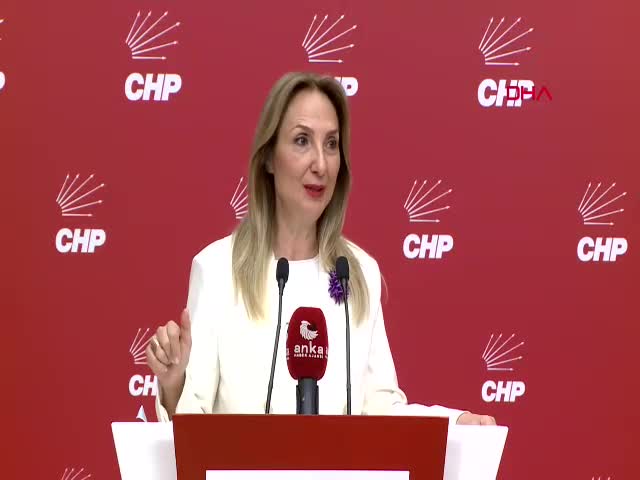CHP Genel Başkan Yardımcısı