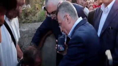 Cumhurbaşkanı Recep Tayyip Erdoğan, orman