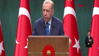 Cumhurbaşkanı Recep Tayyip Erdoğan, Kabine