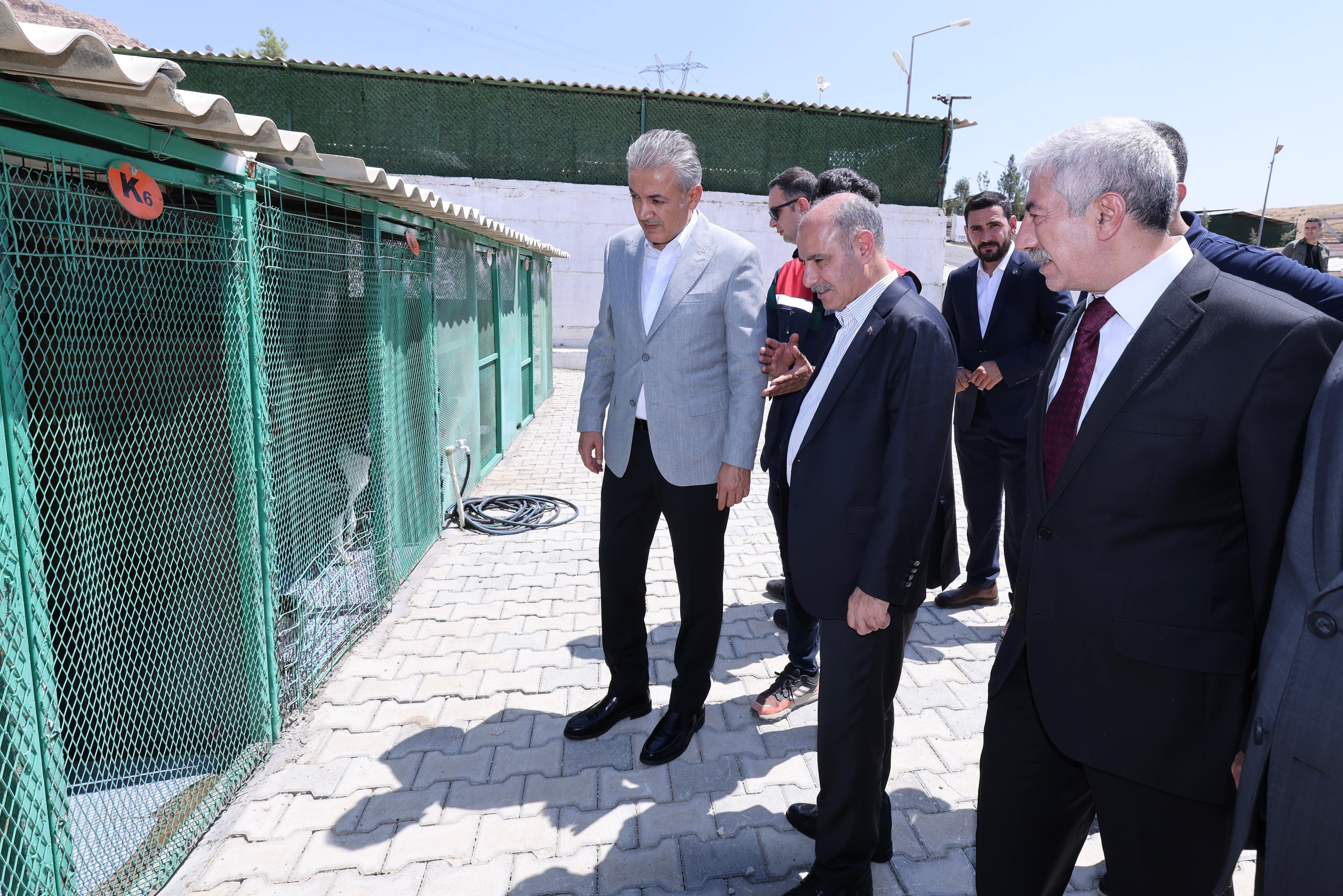 İçişleri Bakan Yardımcısı Mehmet