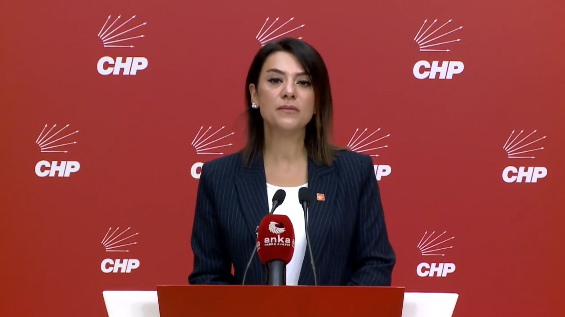 CHP Genel Başkan Yardımcısı
