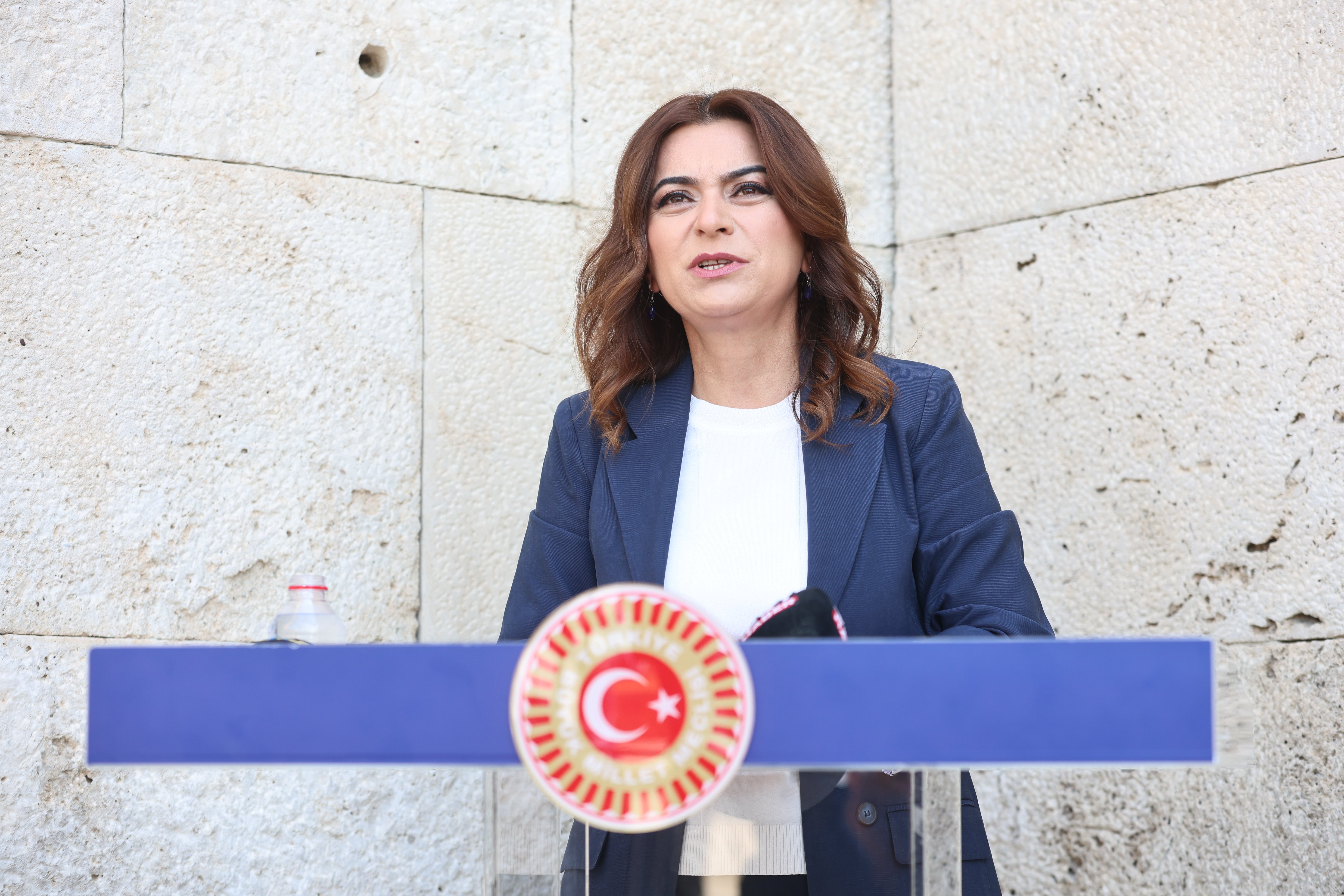 DEM Parti Grup Başkanvekili