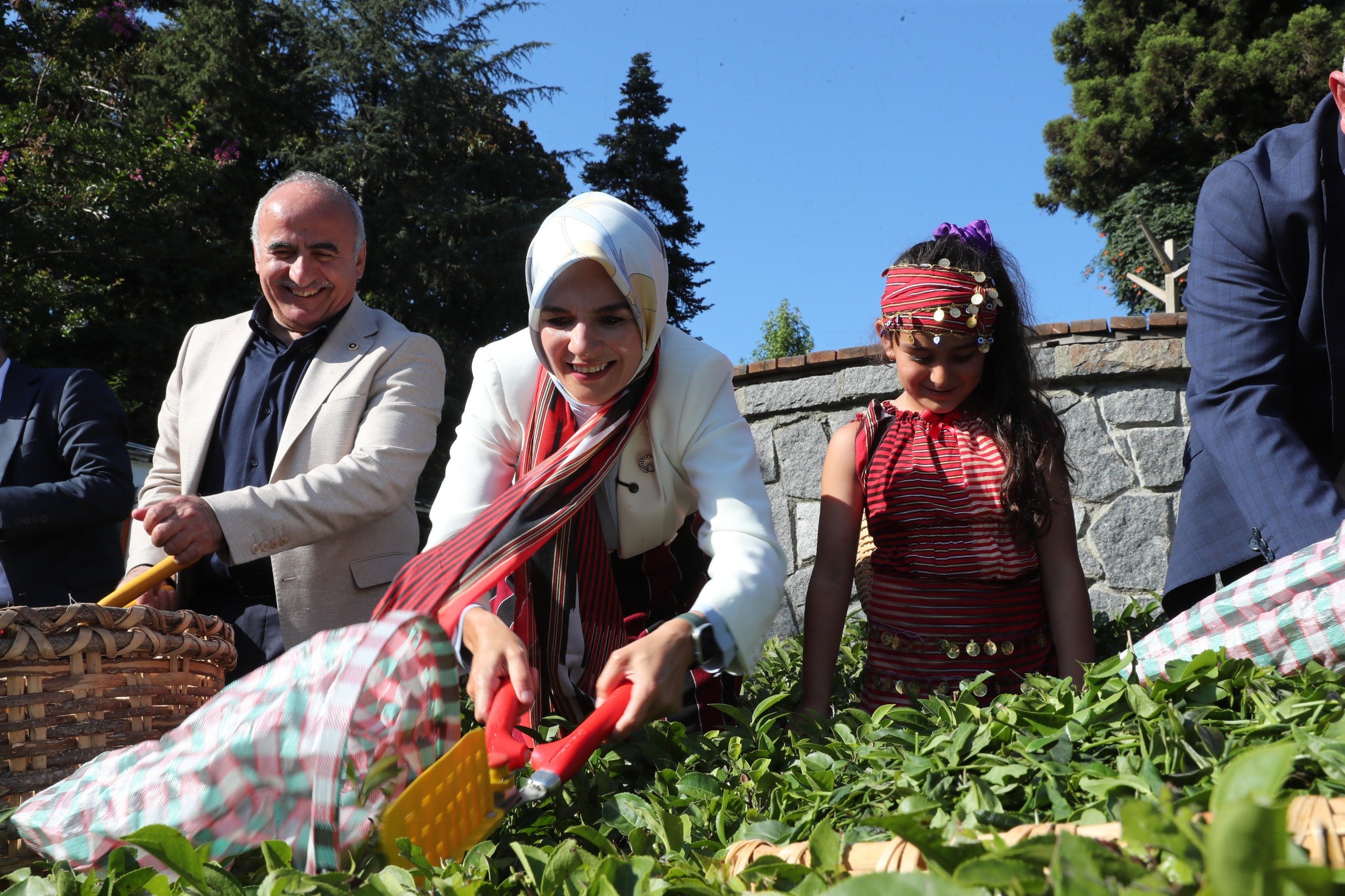 Aile ve Sosyal Hizmetler