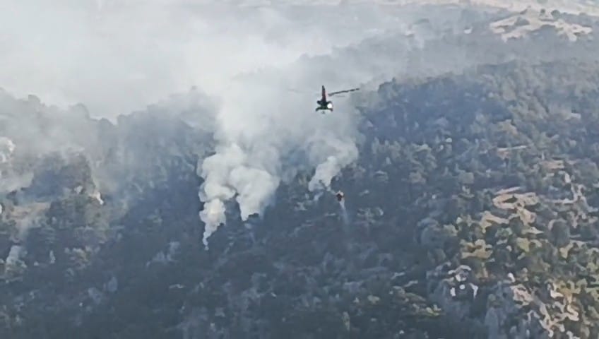 Amasya'da çıkan orman yangını