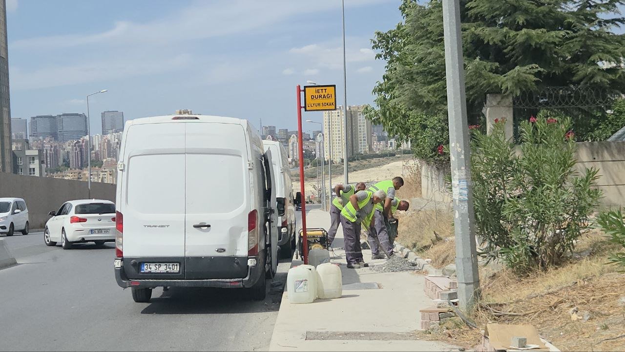Avcılar'da İlyas Tok'un taşlarla