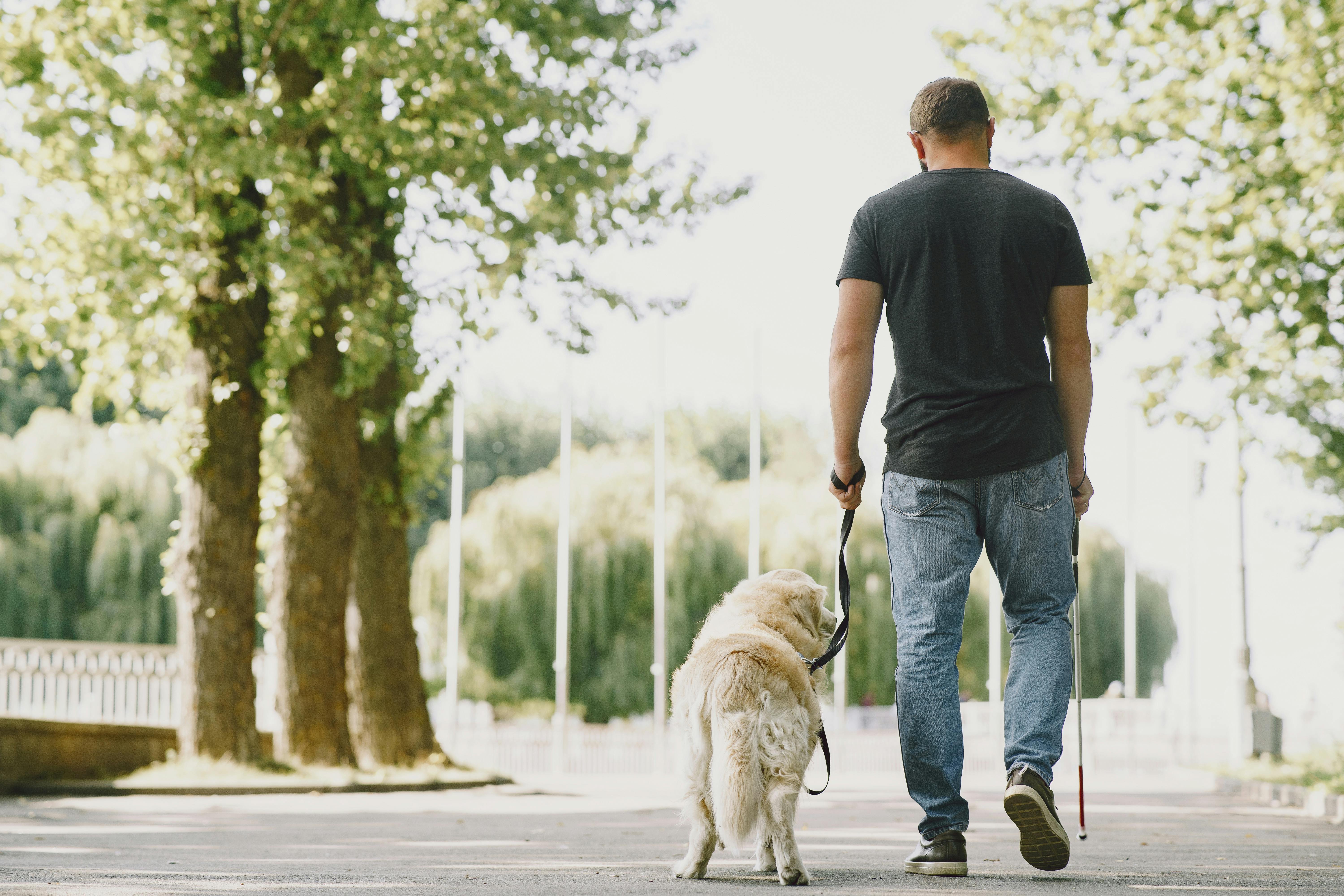 İBB’ye Rehber Köpekle Görme Engelli Vatandaşı Almama Cezası: 150 Bin TL