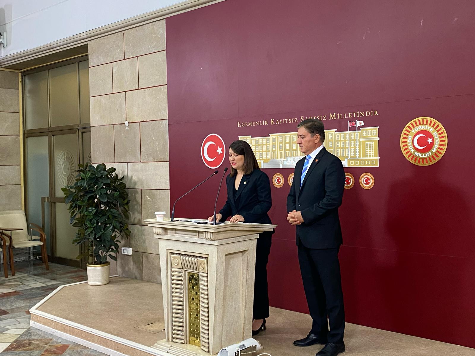 CHP Grup Başkan Vekili
