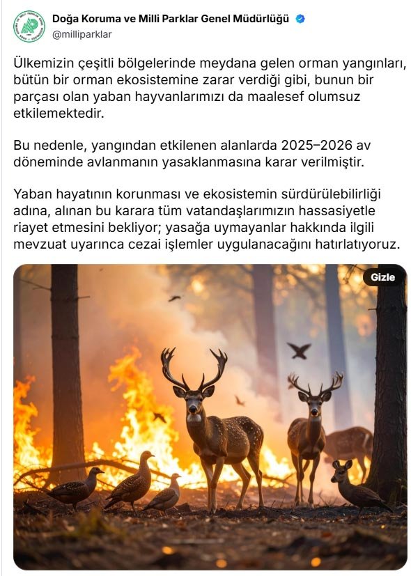 Orman Yangınından Etkilenen Bölgelerde 2 Yıl Süreyle Av Yasağı Getirildi