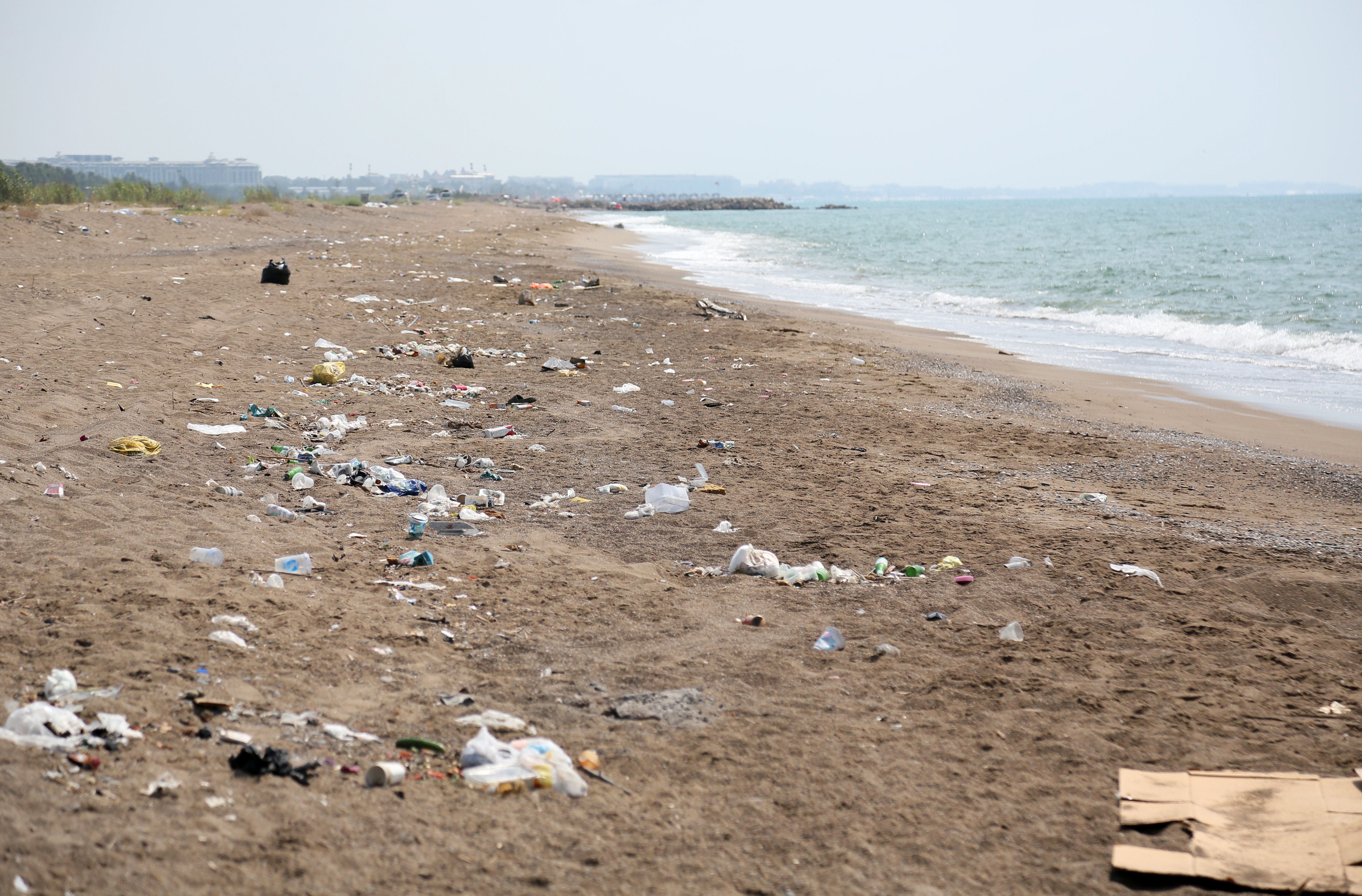 Antalya'nın Kumköy Sahili'nde caretta