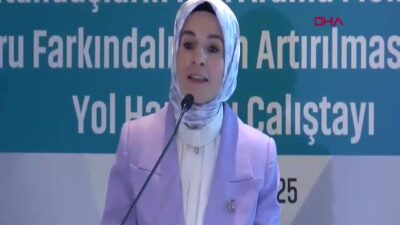 Bakan Göktaş: Roman Vatandaşların Yaşam Koşullarını İyileştirmek Ana Hedefimiz