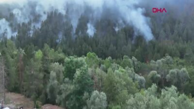 Bolu Mengen’de Çıkan Orman Yangınına 5 Helikopter ve 100’ü Aşkın Personelle Müdahale