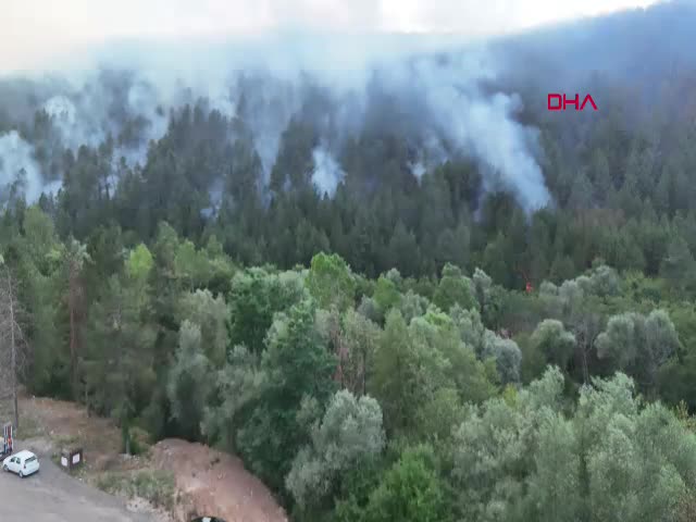 Bolu'nun Mengen ilçesinde çıkan