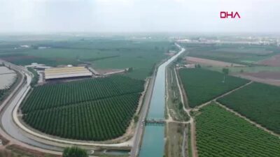 Adana’da Su Kıtlığı Tarımı Vurdu: Ziraat Mühendisleri Odesı Başkanı Uyardı!