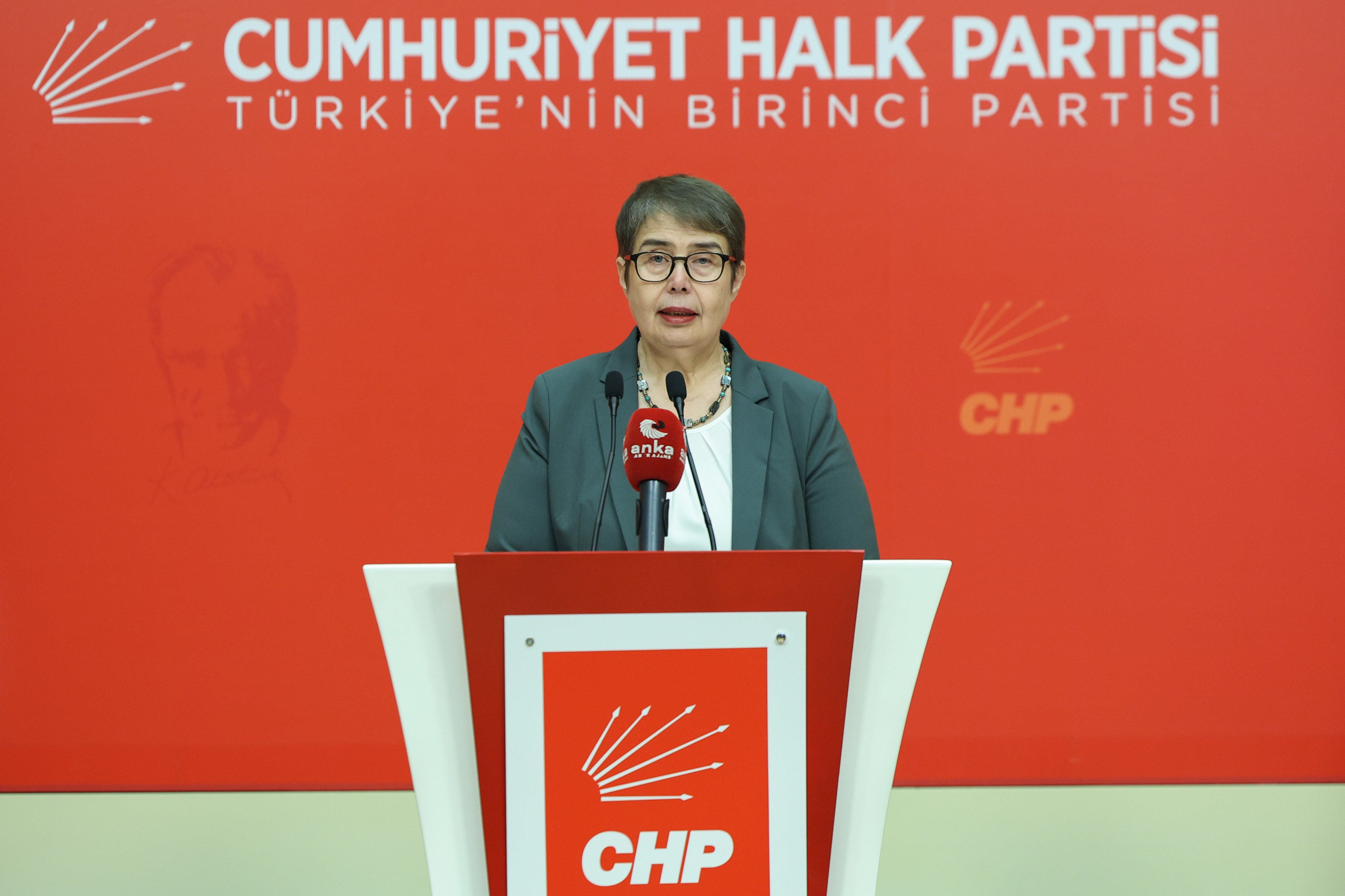 CHP Genel Başkan Yardımcısı