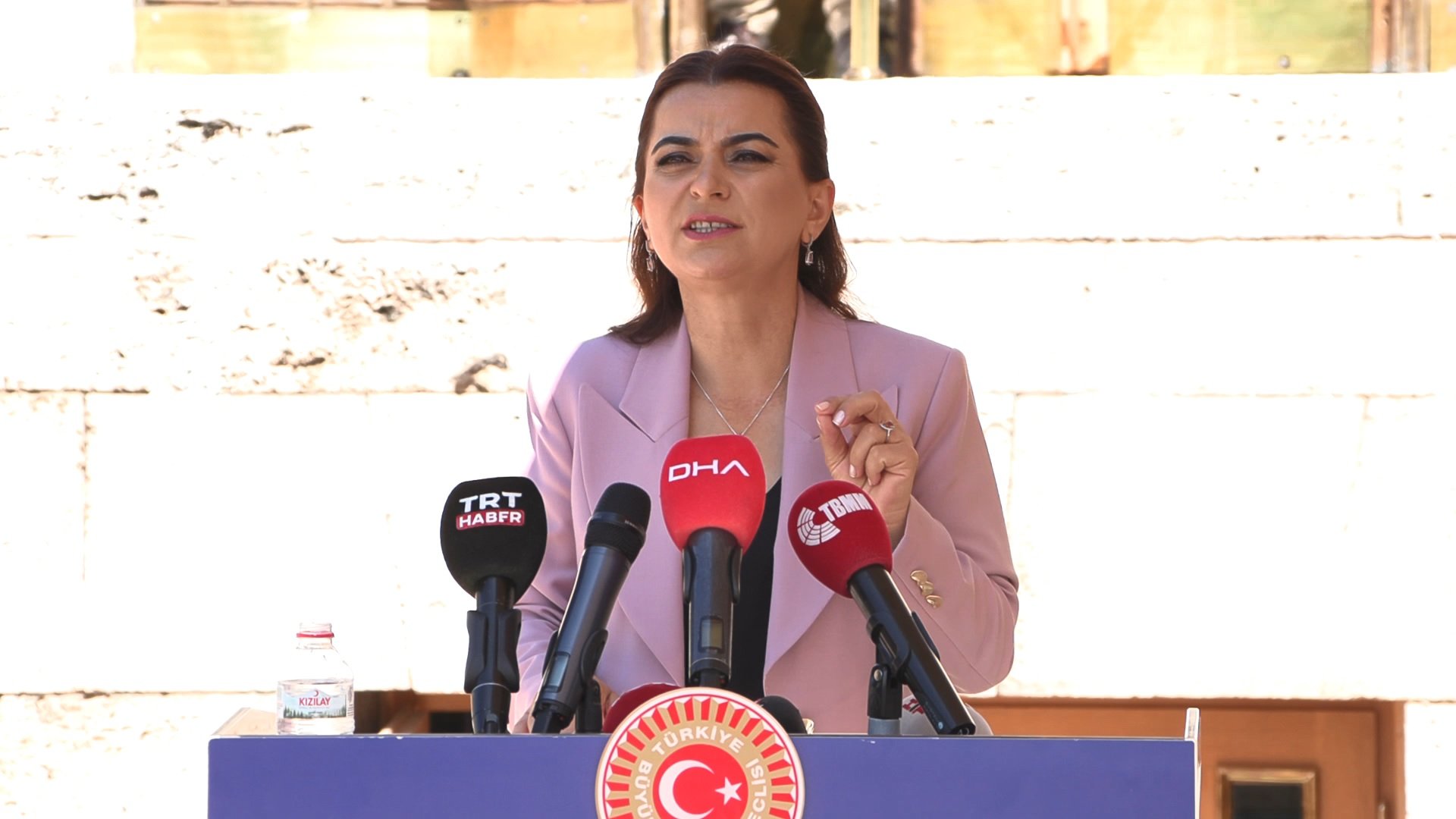 DEM Parti Grup Başkanvekili