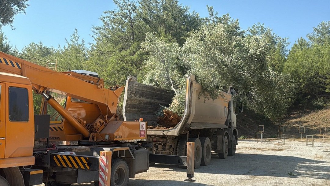 Muğla'nın Milas ilçesinde Yeniköy