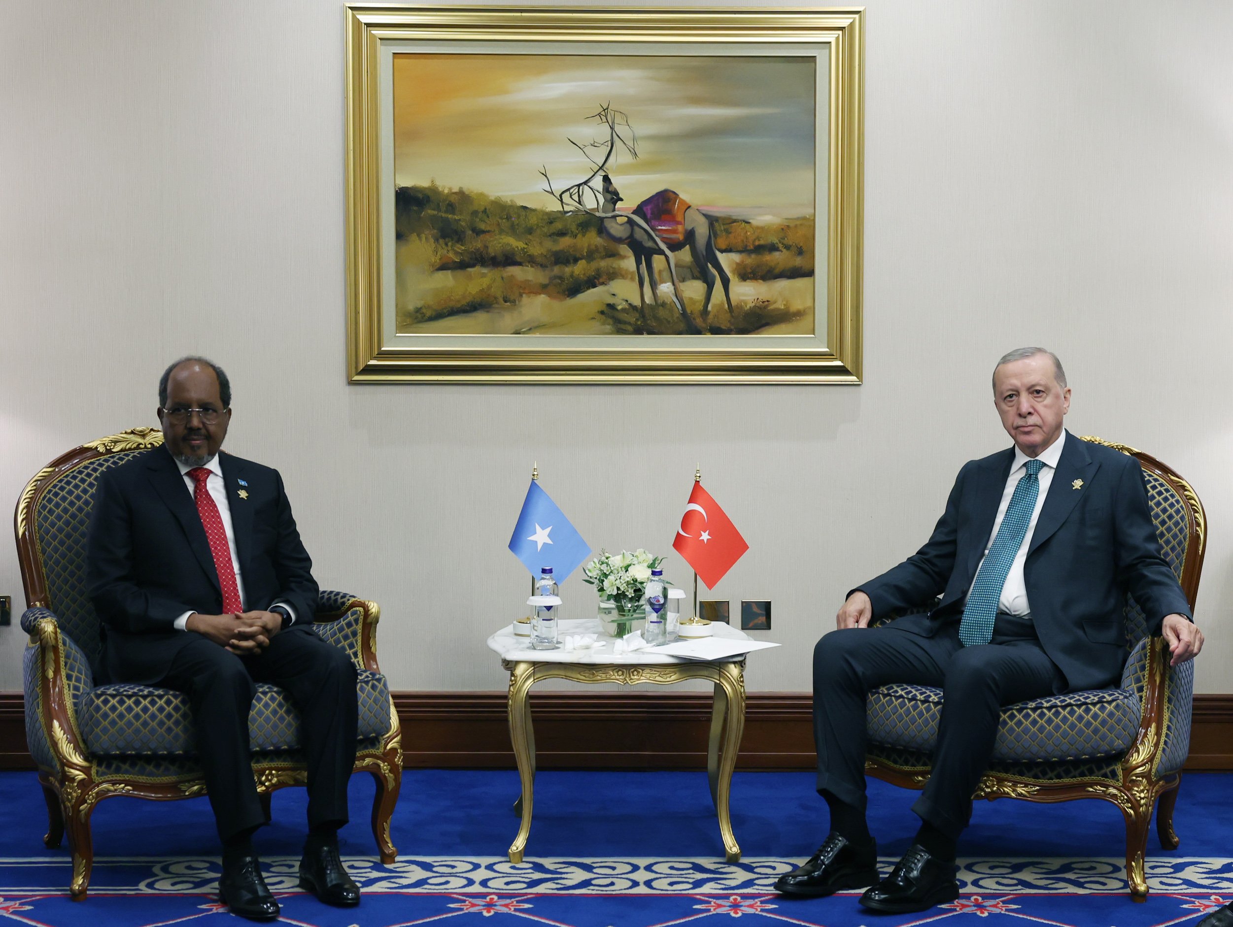 Cumhurbaşkanı Recep Tayyip Erdoğan,