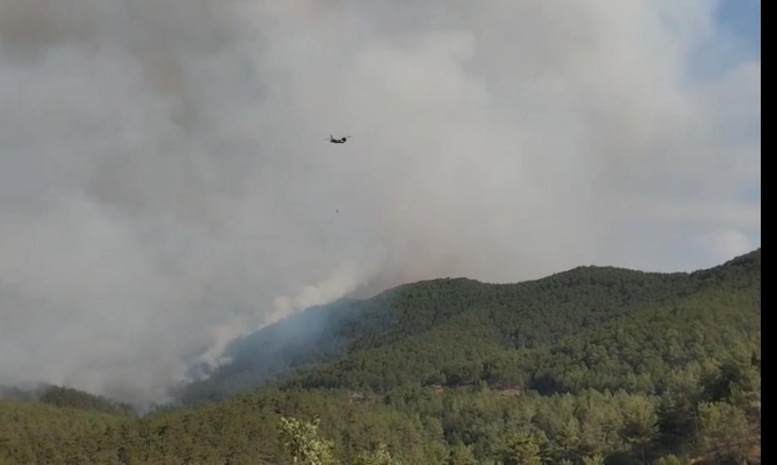 Karabük'te devam eden orman