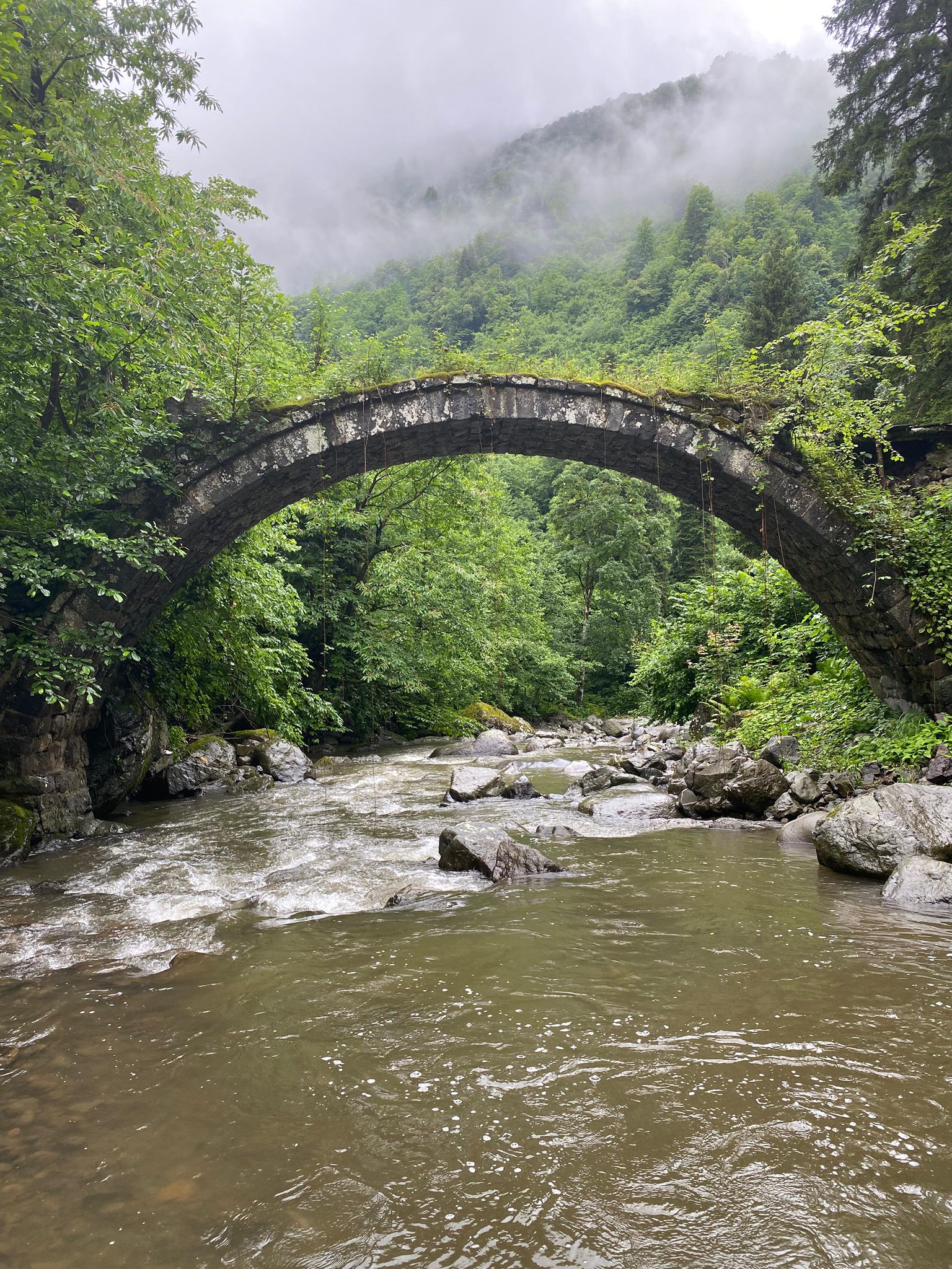 Artvin'in Borçka ilçesinde Gürcü