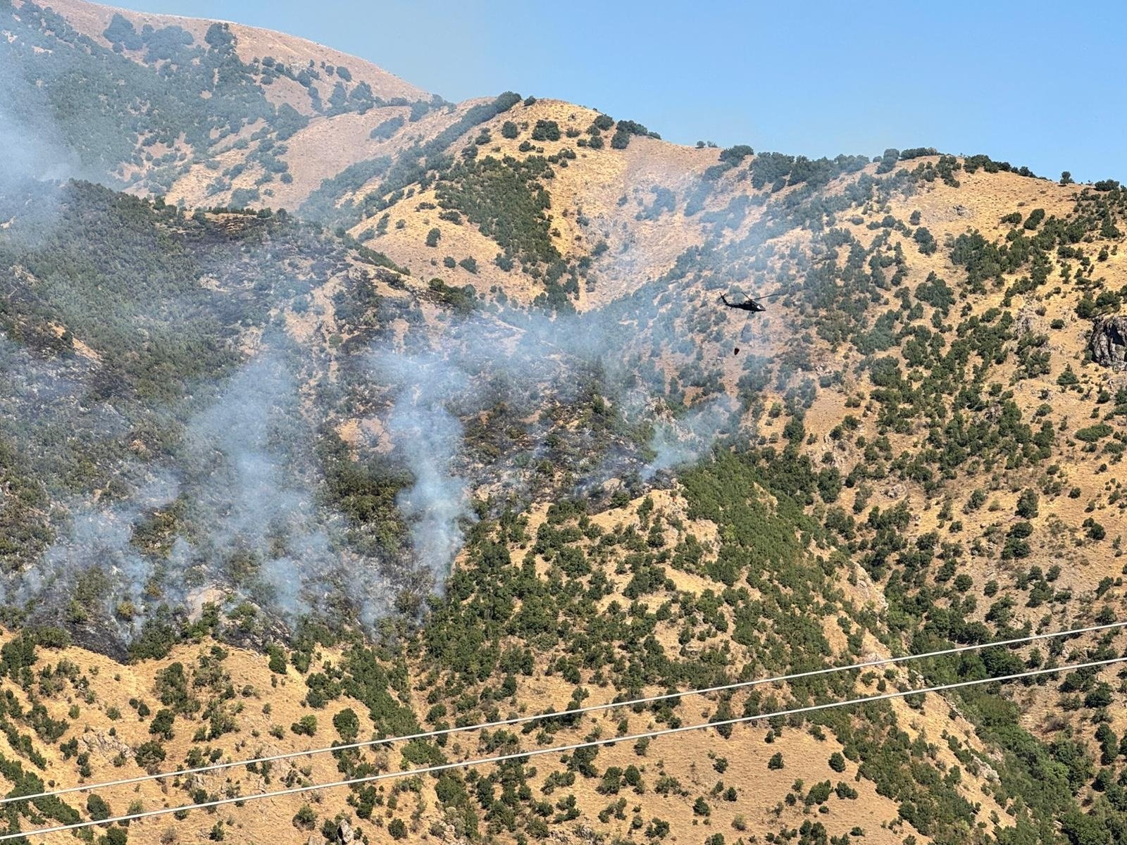 DEM Parti Hakkari Milletvekili