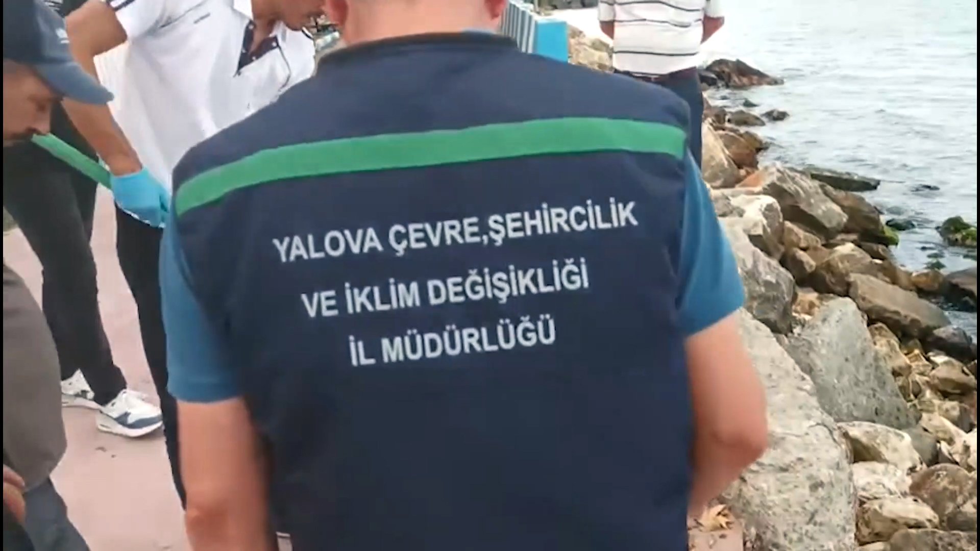 Çevre, Şehircilik ve İklim