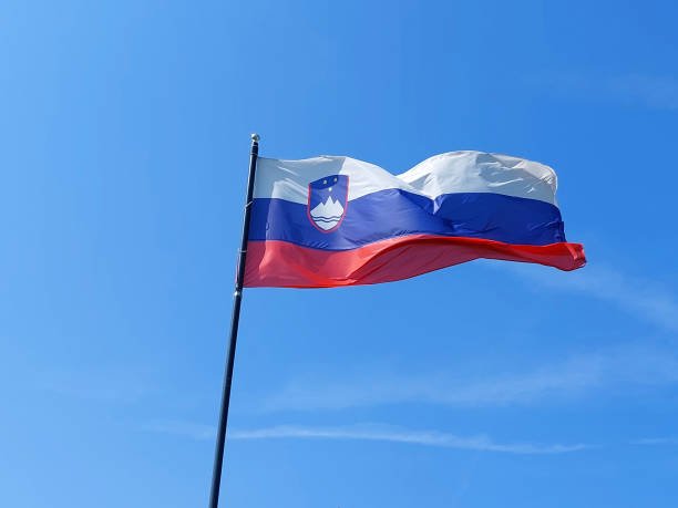 Slovenya hükümeti, Uluslararası Ceza