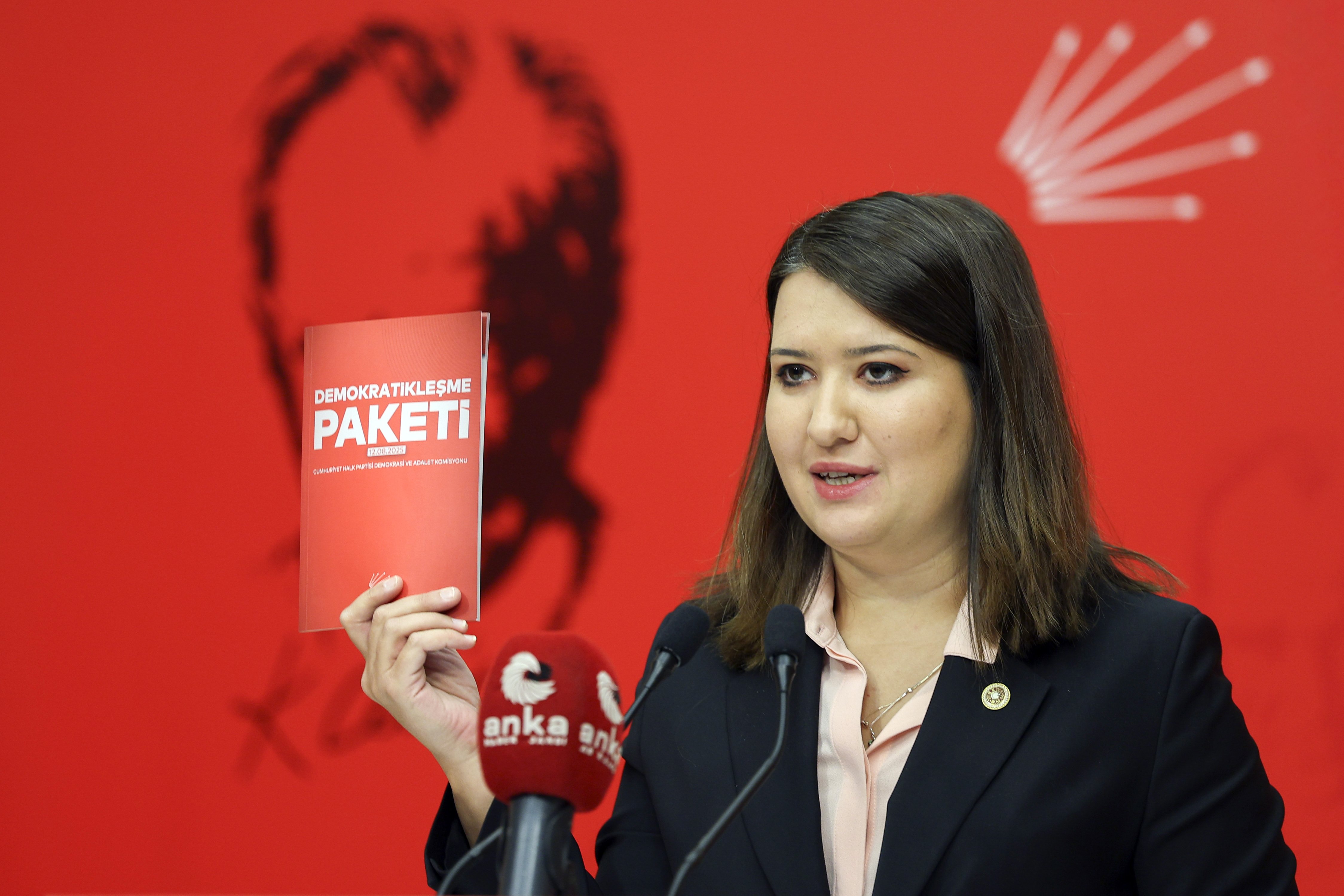 CHP Genel Başkan Yardımcısı
