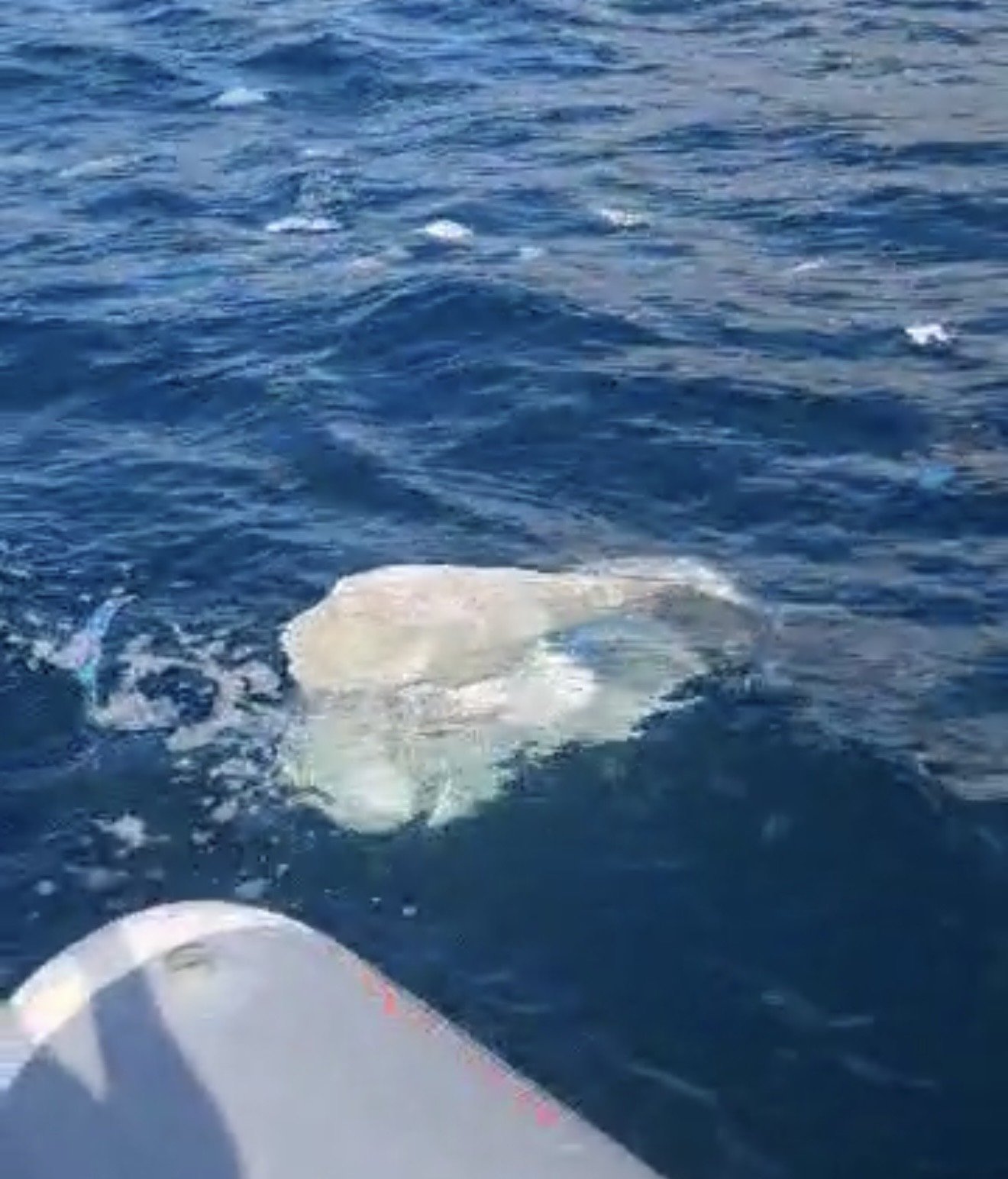 Bartın'ın Amasra ilçesinde deniz