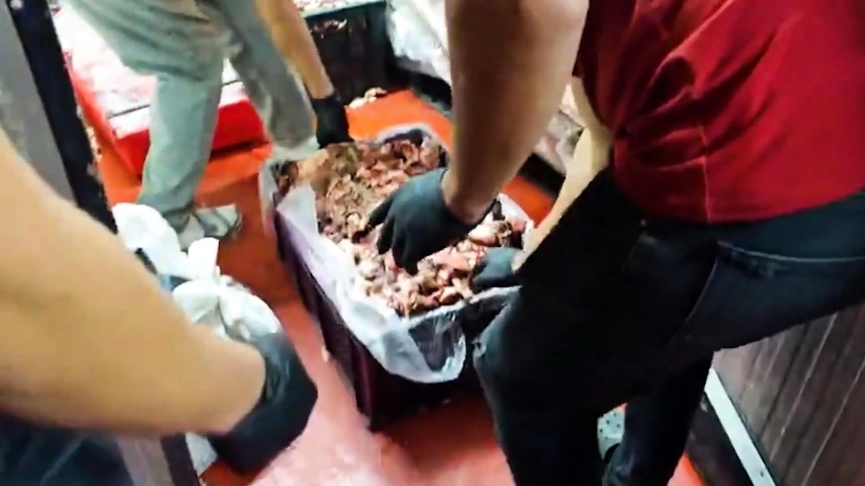 Tarım ve Orman Bakanlığı'nın