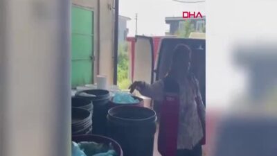 Hatay’da Skandal: 6 Ton Bozuk Gıda İmha Edildi!