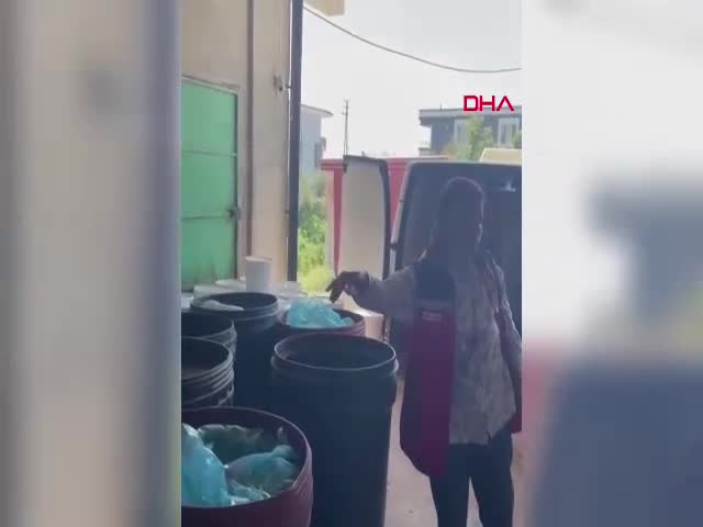 Hatay'ın Antakya ilçesinde Tarım