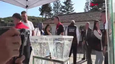 Bolu’da Dünya Pazarına Açılıyor: Mersin Balığı Havyarının Kilosu 1000 Euro!