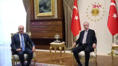 Cumhurbaşkanı Recep Tayyip Erdoğan, TBMM