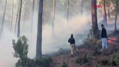 Köyceğiz’deki Orman Yangınında Kritik 2’nci Gün: 800 Kişi Tahliye Edildi, 10 Uçak ve 14 Helikopterle Mücadele