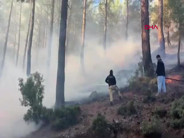 Muğla Köyceğiz'deki orman yangınında