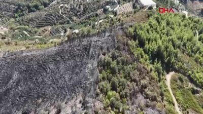Antalya’da Büyük Yangın Felaketi: 1350 Hektar Alan Küle Döndü