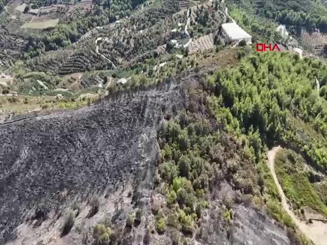 Antalya'nın Alanya ilçesinde çıkan
