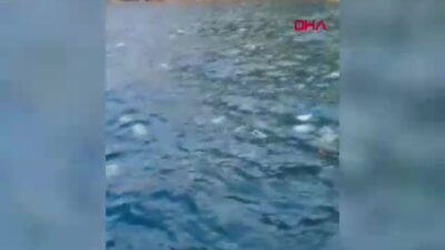 Amasra’da Deniz Felaketi: Plastik ve Evsel Atıklar Kıyıları İşgal Etti