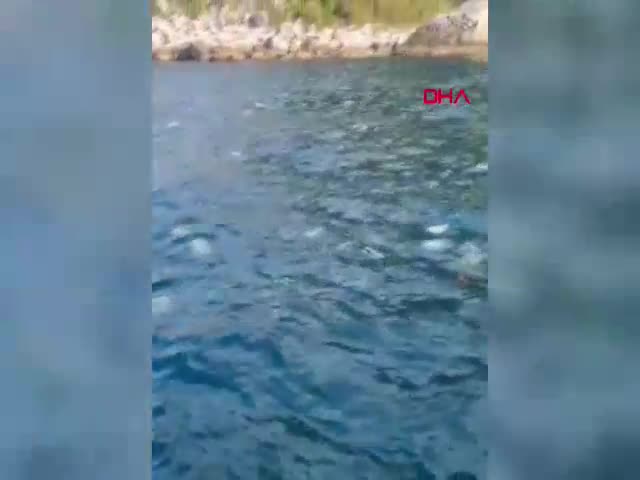 Bartın'ın Amasra ilçesinde deniz